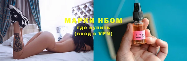 прущий лед Богданович