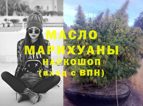 прущий лед Богданович