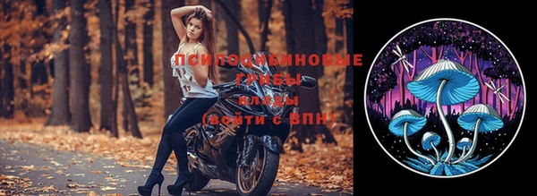 прущий лед Богданович
