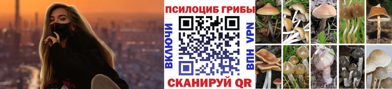 мега ТОР  Северская  Галлюциногенные грибы прущие грибы 